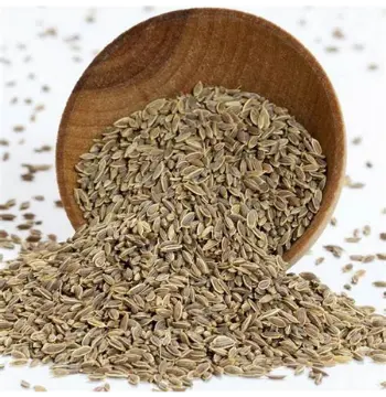 Organic Dill Seeds